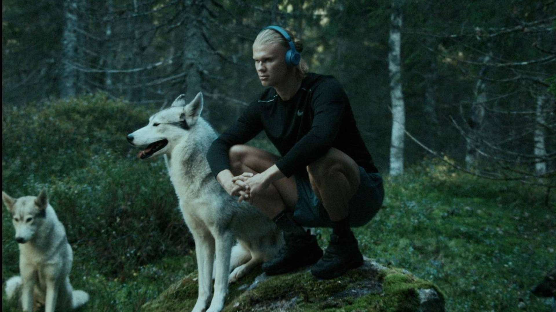 现波动及背 现波动及背